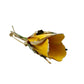 vintage long stem yellow flower BROOCH floral jewelry pin